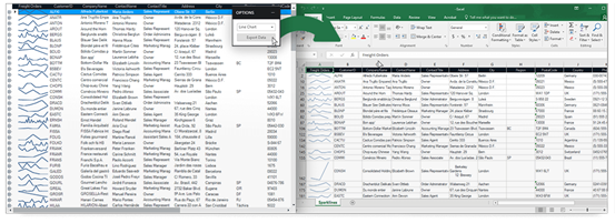 Windows Forms Infragistics Excel