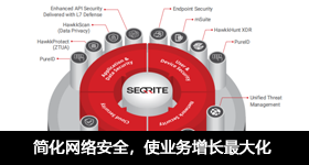 简化网络安全，使业务增长最大化 